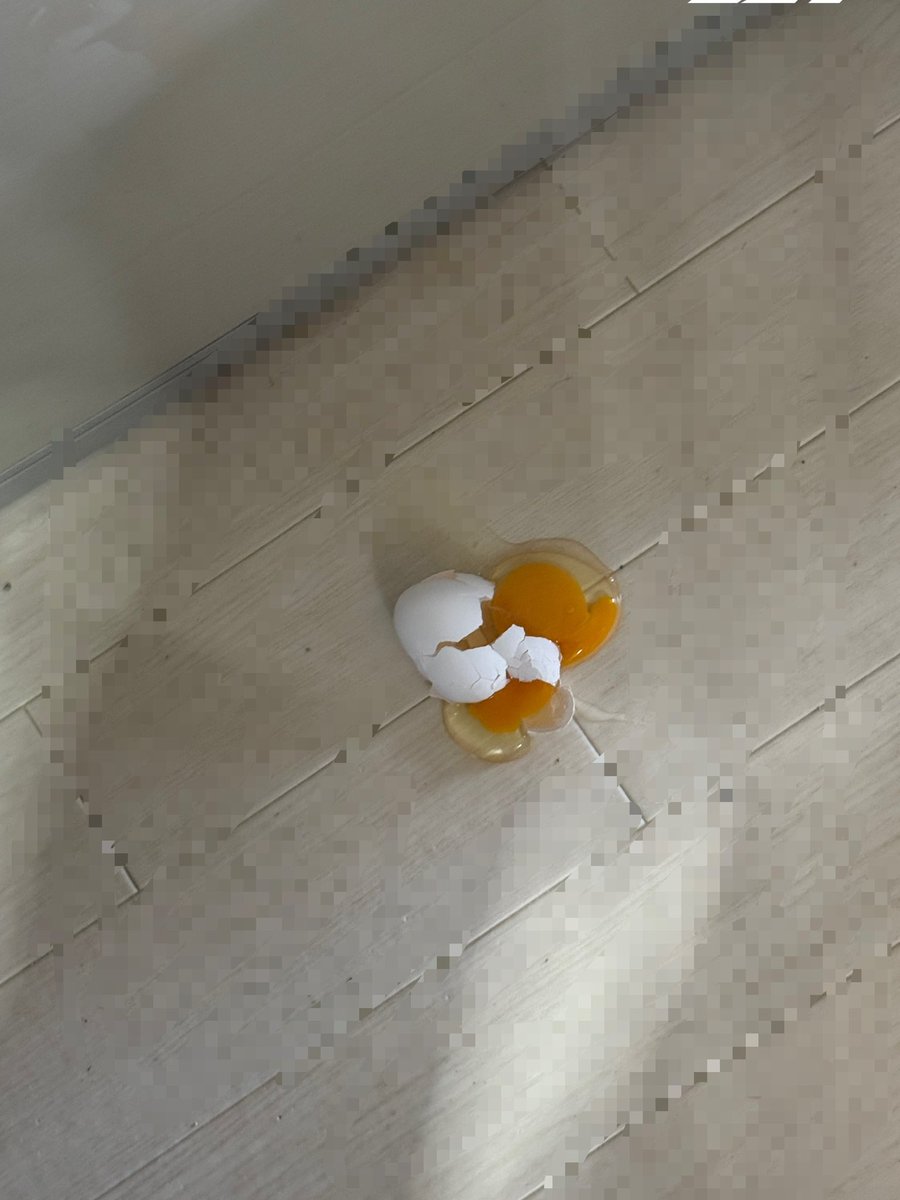 もちここらtoまいける🤍🫧 tweet media