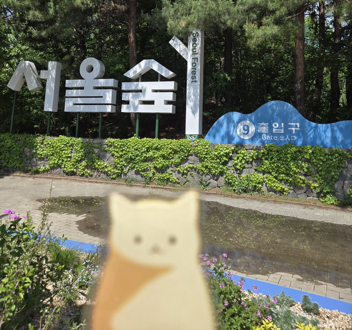 캬랴앙 tweet media