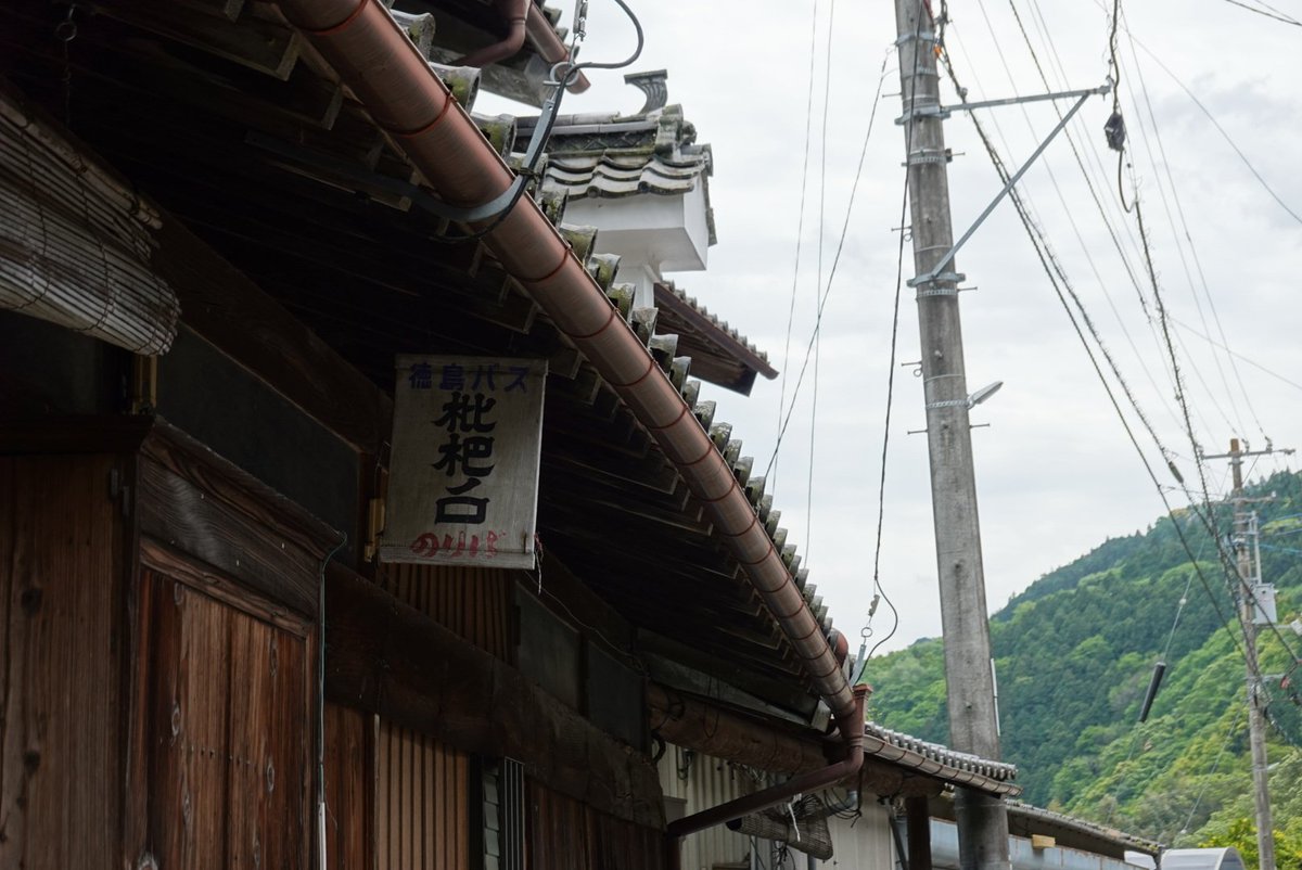 生子宿 tweet media