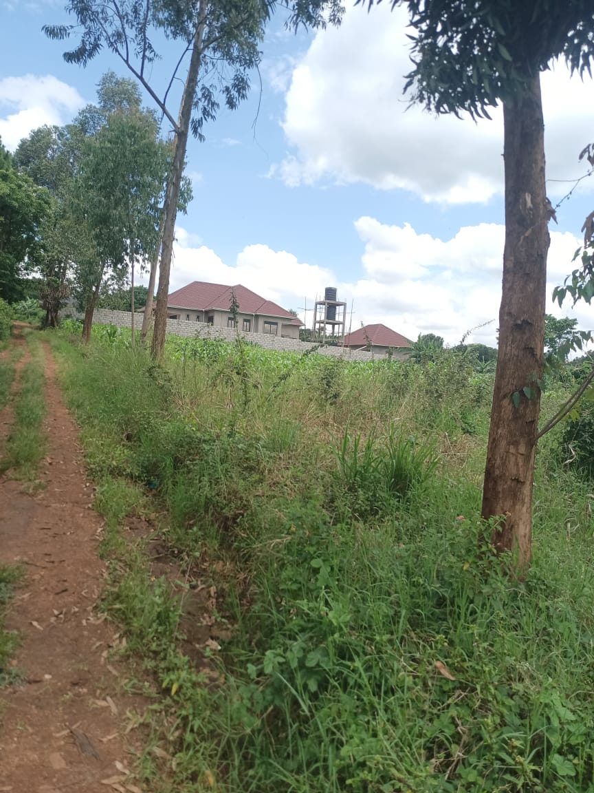 shukranproperty's tweet photo. LAND FOR SALE
Located at Gayaza Kiwenda
3 Acres
Selling Price l at #160m Ugx per Acre
Located 1.2km off Tarmac
Best For Real estate business, Country Home etc
0706592177 https://t.co/aZgUkYv2di