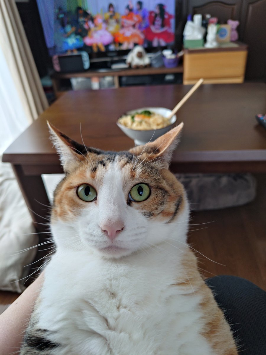 にこちゃまちゃんぬる tweet media