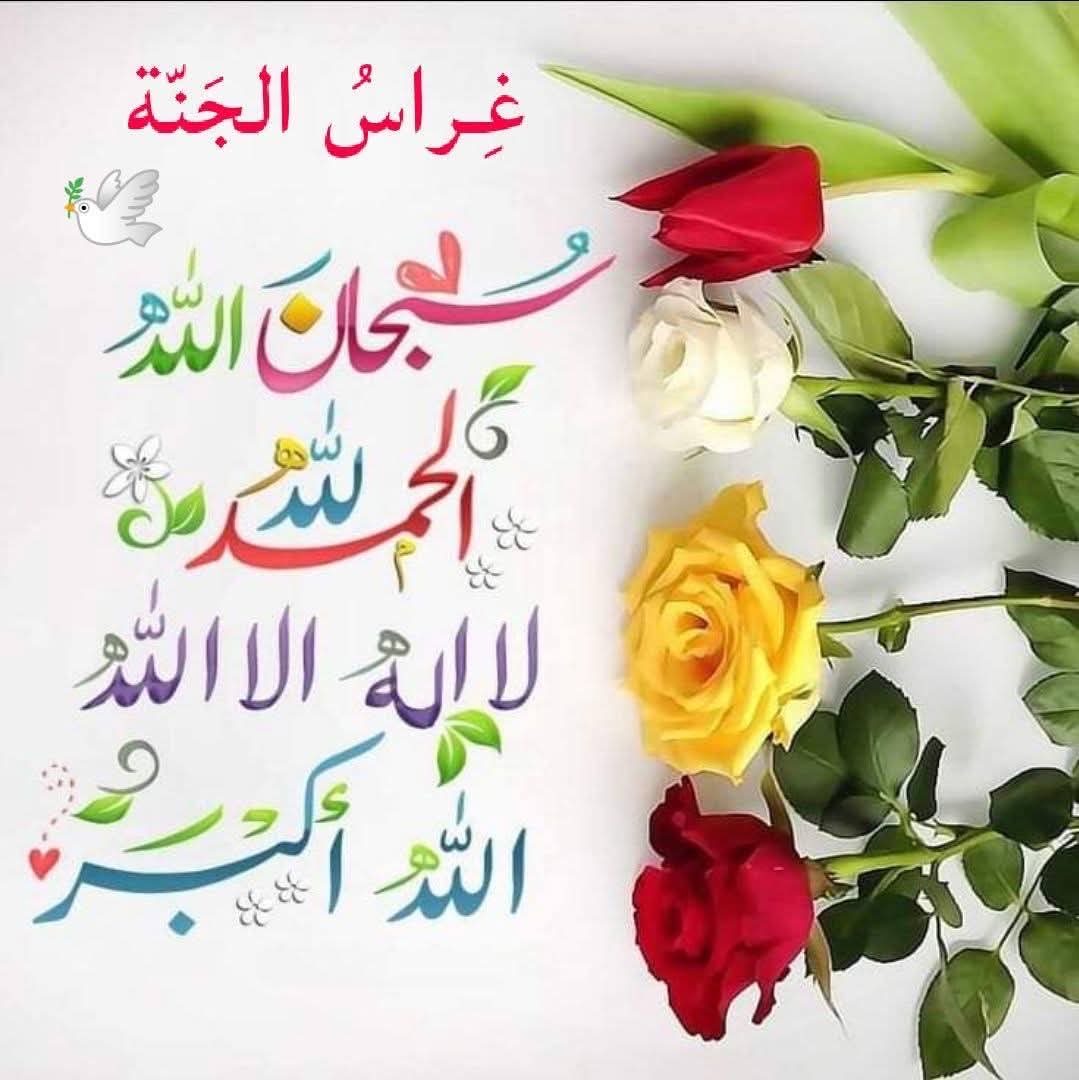 د. محمد إياد العكاري شاعر وأديب tweet media