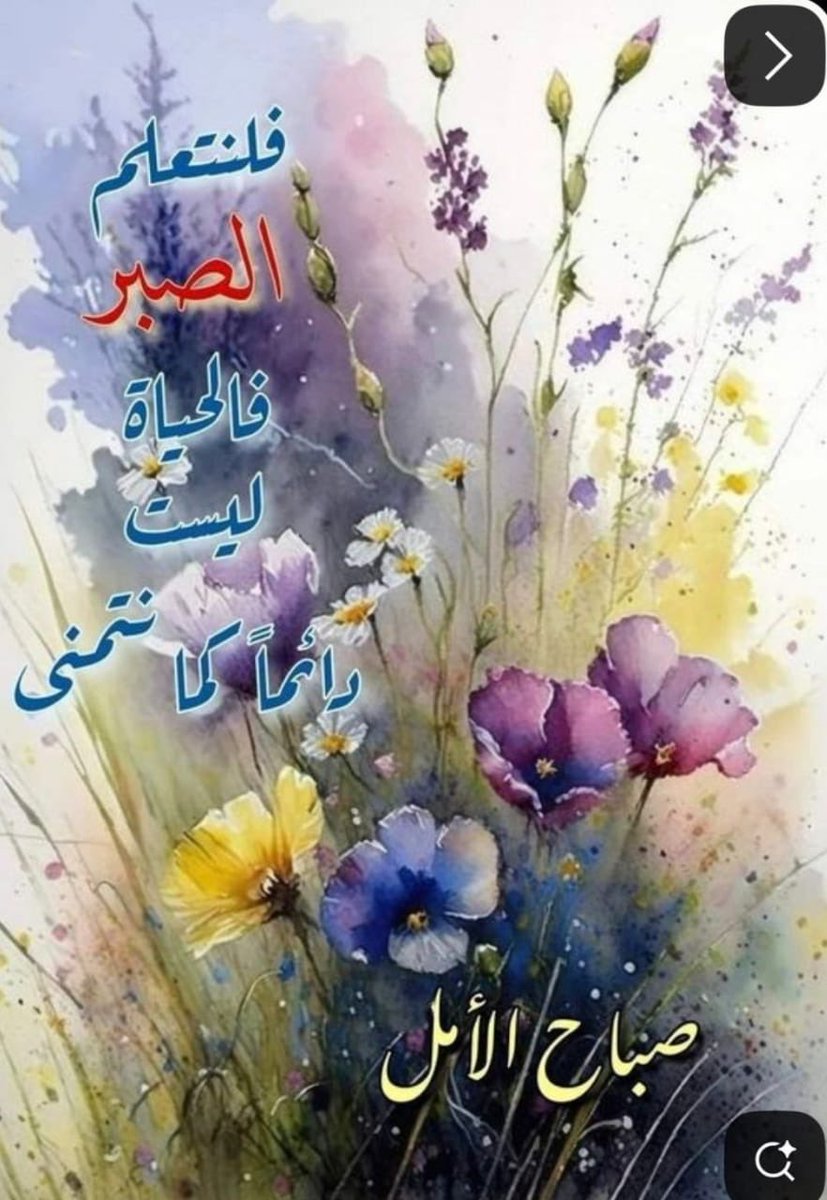 د. محمد إياد العكاري شاعر وأديب tweet media