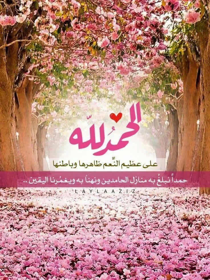 د. محمد إياد العكاري شاعر وأديب tweet media