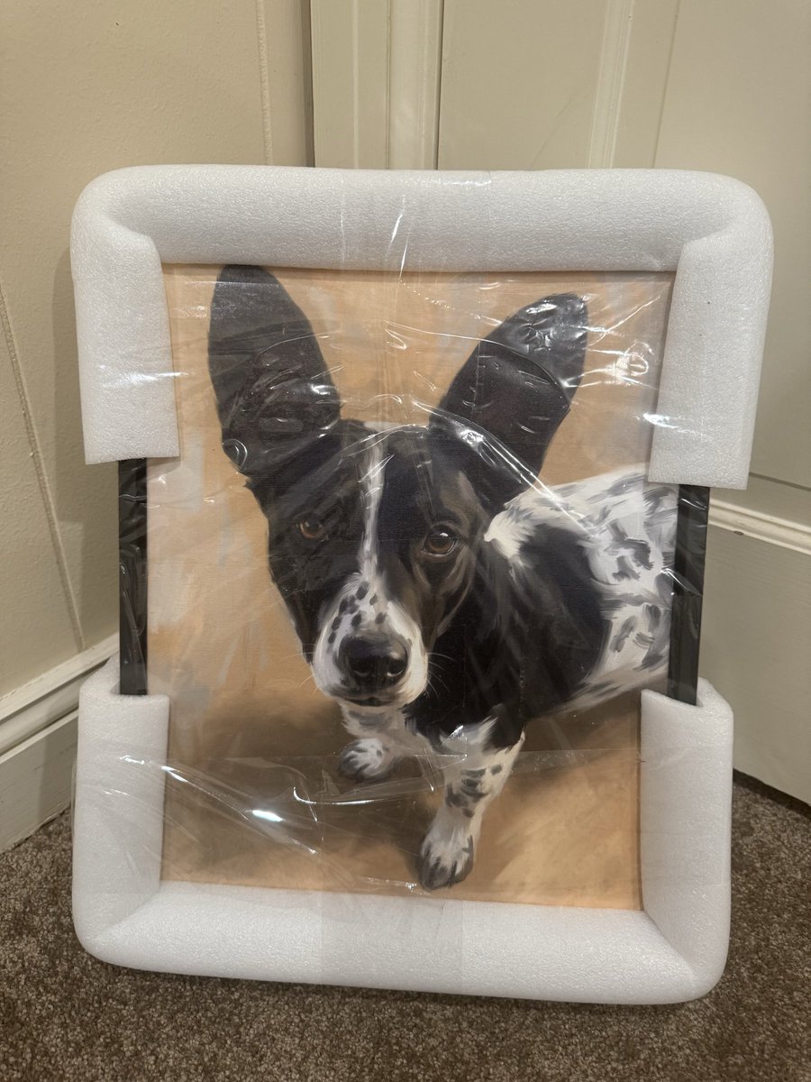 Alpha Doggo tweet media