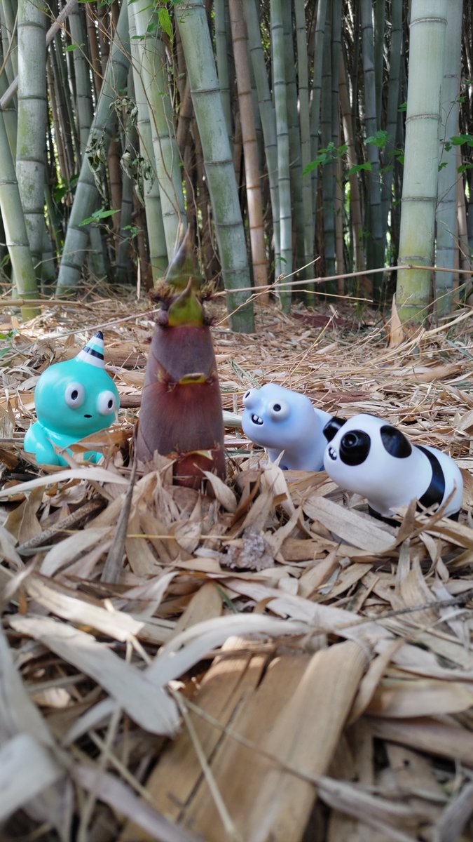 たけのこを発見して嬉しそうなむんちきなも😆