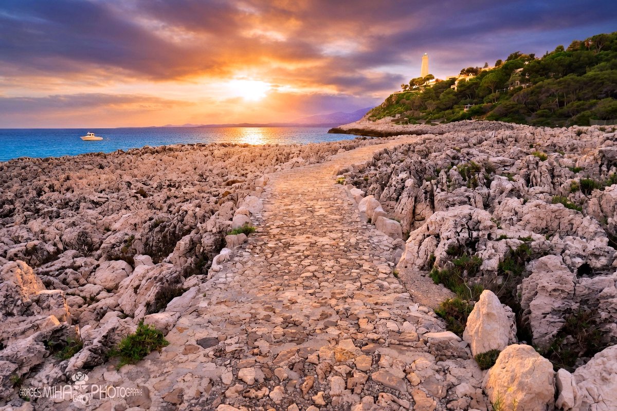 geozine_'s tweet image. Le sentier littoral de Saint-Jean-Cap-Ferrat, la fin de journée enveloppe les rochers d’une lumière chaude et dorée
@VisitCotedazur @ExploreNCA #ilovesaintjeancapferrat #saintjeancapferrat #CotedAzurFrance #georgesmiha #geozine #nicetourisme #ExploreNiceCotedAzur