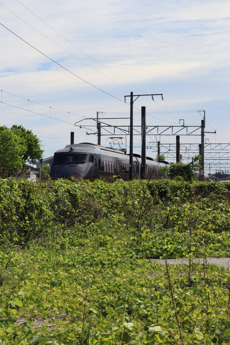 jikko680687's tweet photo. 【今日の787系Vol.2】🎌2026/5/4(Mon)
5005M特急にちりんシーガイア5号 博多7:31発 宮崎空港行き(宮崎空港13:19着)
787系 BM2編成(本ミフ)
#787系 #BM2 #南福岡車両区 #日豊本線 #大在駅 #坂ノ市駅 https://t.co/SufYNSd6nn