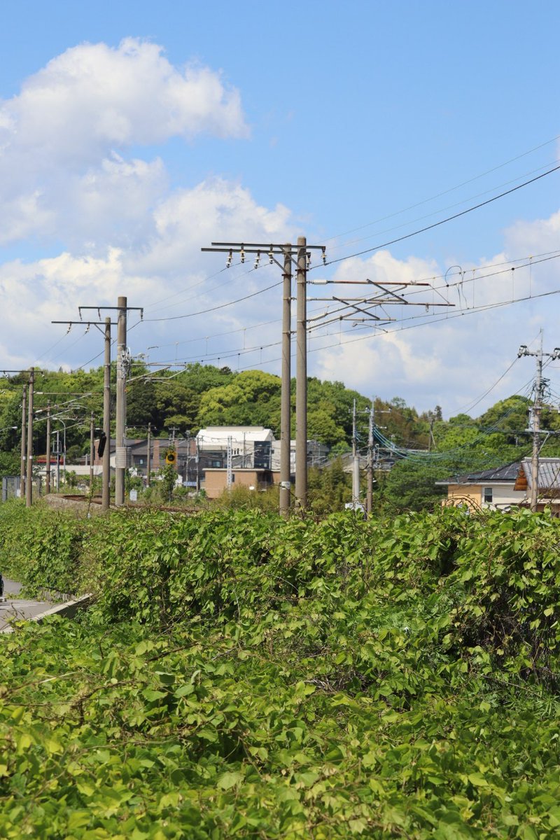 jikko680687's tweet photo. 【今日の787系Vol.2】🎌2026/5/4(Mon)
5005M特急にちりんシーガイア5号 博多7:31発 宮崎空港行き(宮崎空港13:19着)
787系 BM2編成(本ミフ)
#787系 #BM2 #南福岡車両区 #日豊本線 #大在駅 #坂ノ市駅 https://t.co/SufYNSd6nn