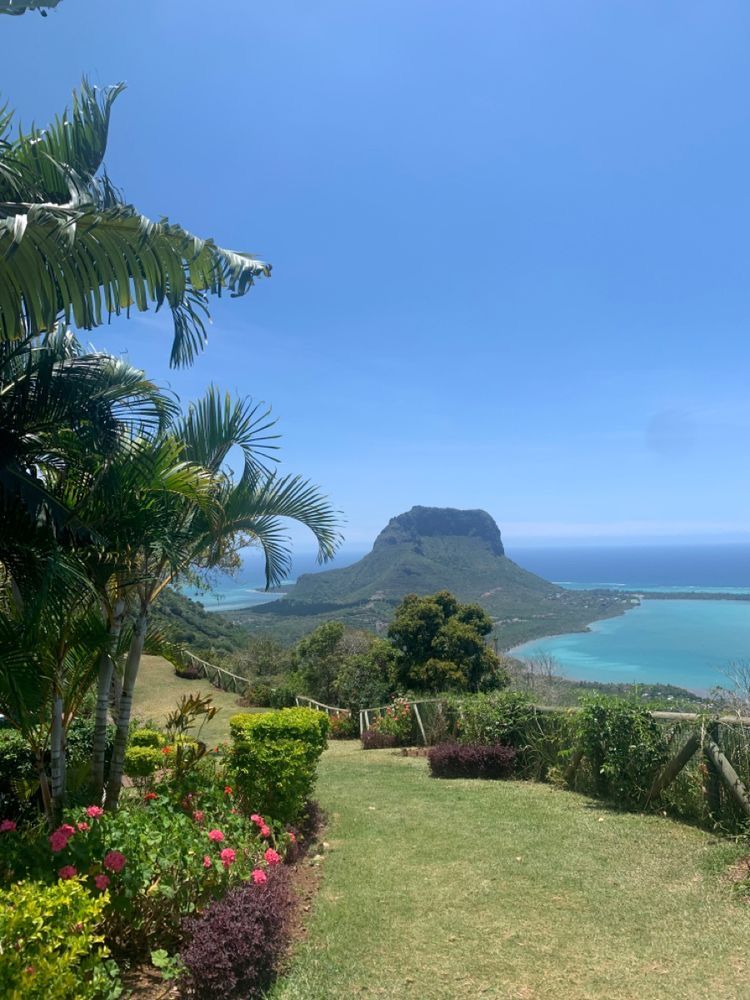Mauritius Island tweet media
