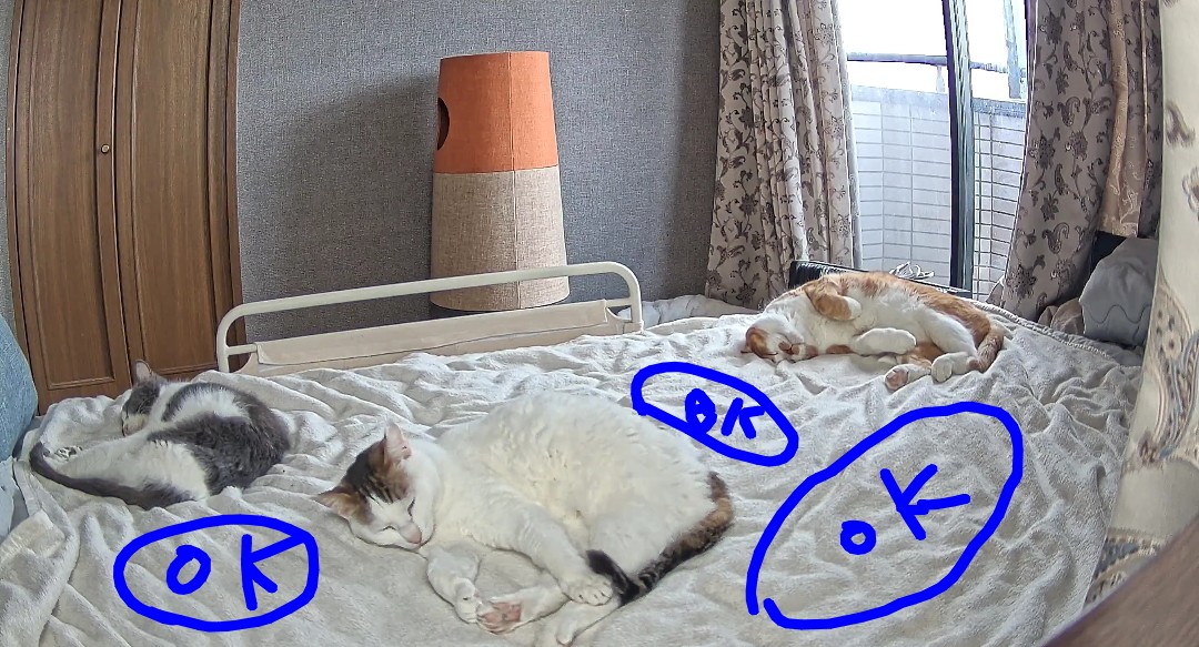 あまえちゃん tweet media