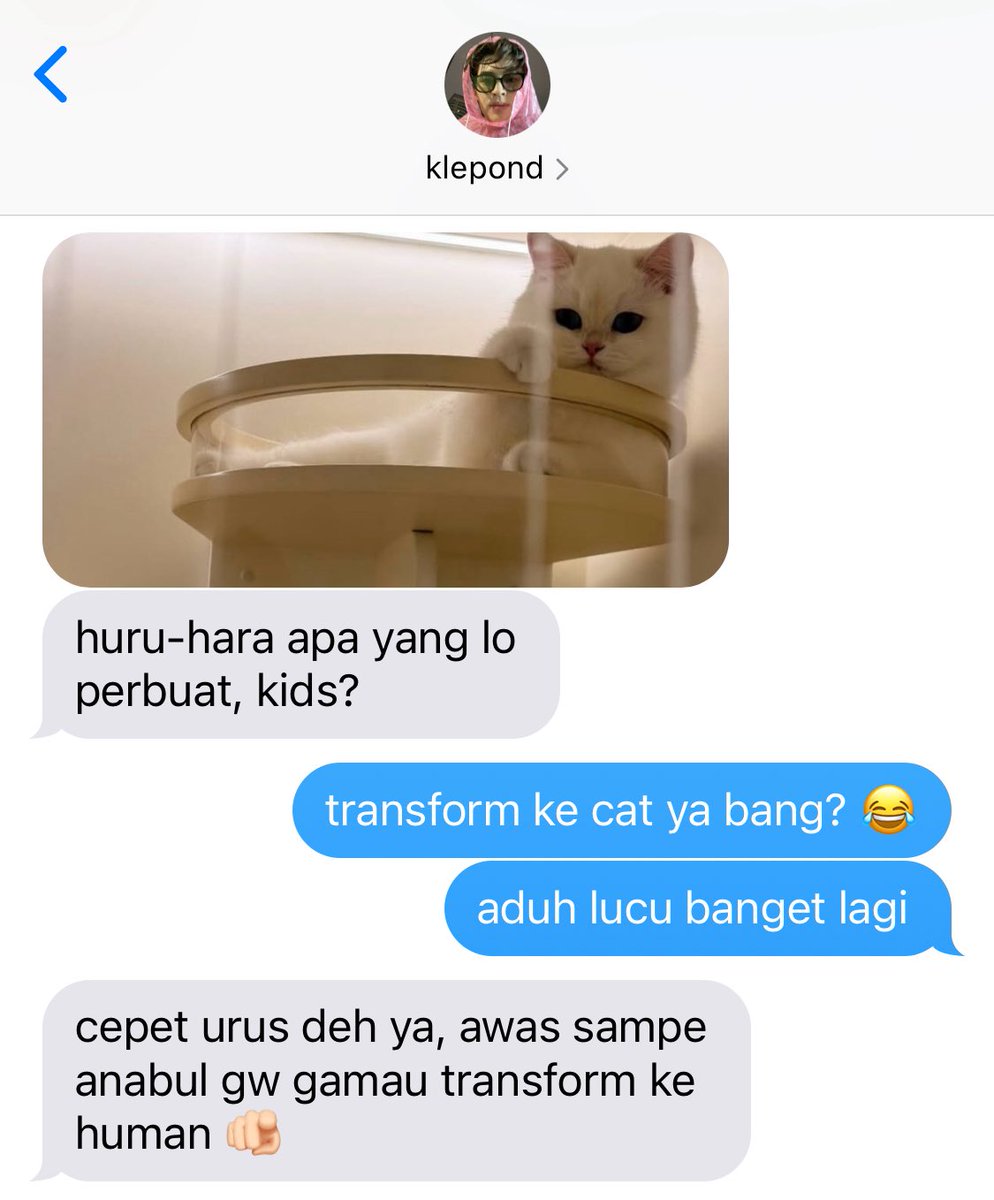 acaa’ tweet media
