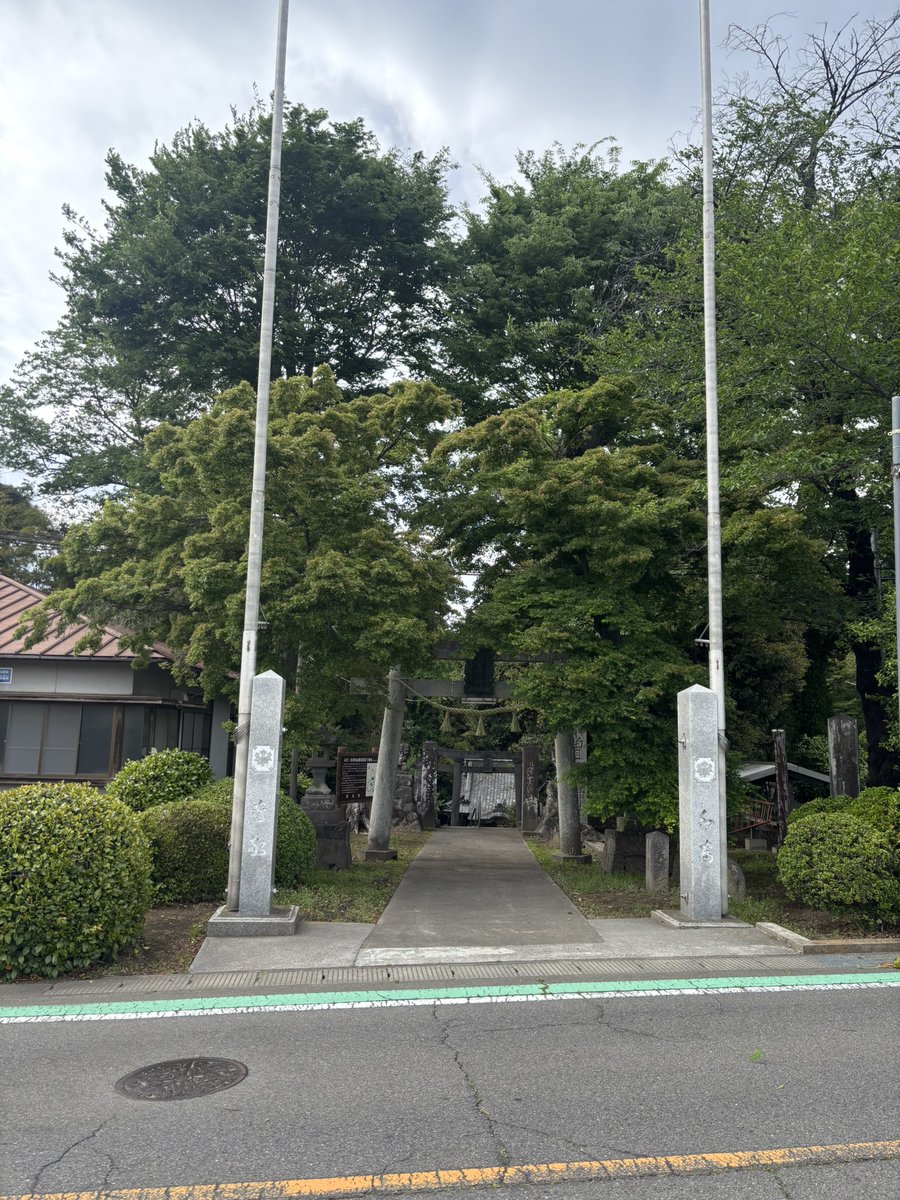 仙石 tweet media