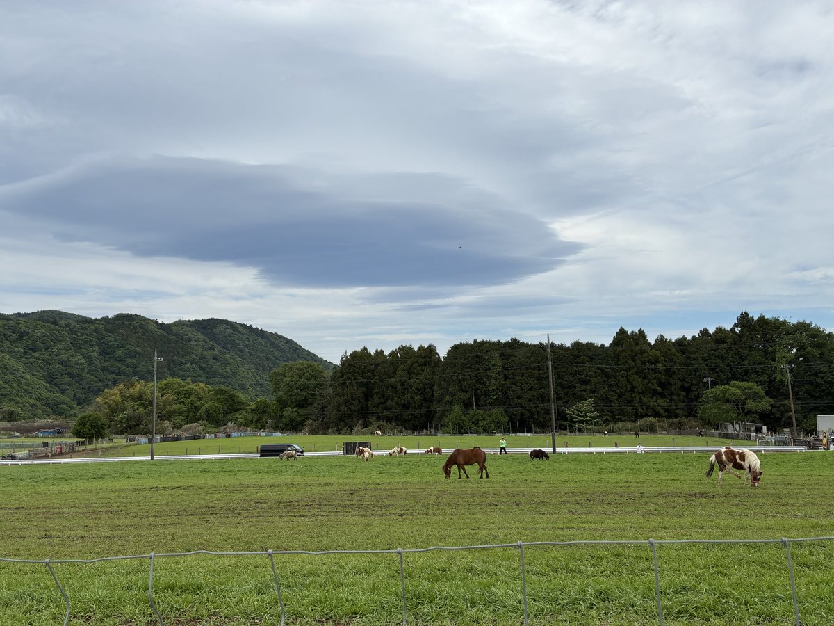 saik1010's tweet photo. 家の近くにこんな牧場があったとは！自然は癒されるので、おすすめです！ https://t.co/whkaDToP0a