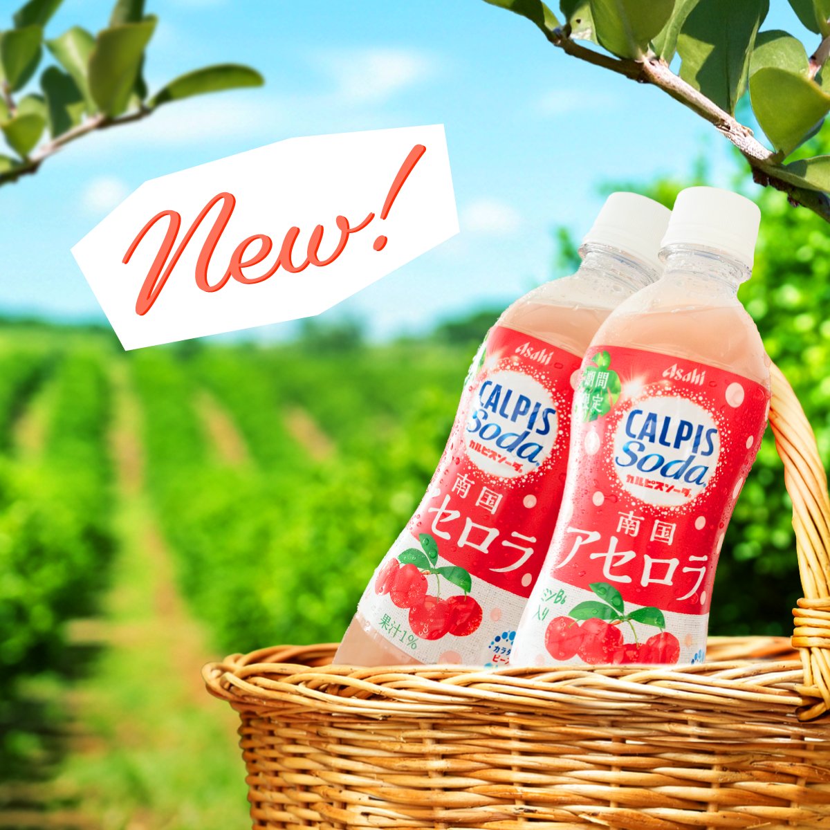 ❤️カルピス様❤️ カルピス“水玉通信”」 (@calpis_mizutama) / Posts / X