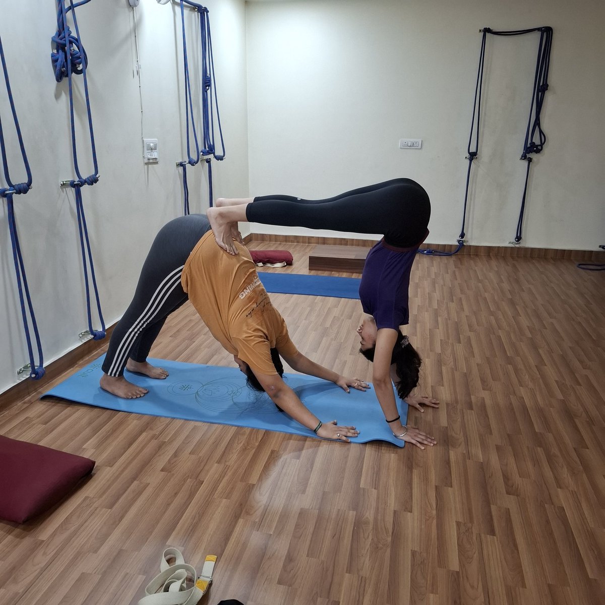 sumitsaproo's tweet image. Your Body can do it, it is the MIND that you need to convince...

For classes DM@yogsattva_therapy_studio 

#yoga #studio  #health #online