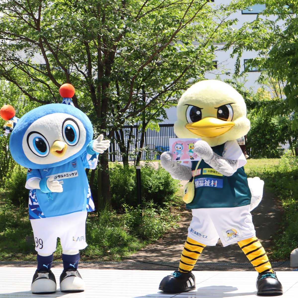 randonneesan's tweet image. ガミティパイセンからはイラストのプレゼント🎨
#フリ丸  #yokohamafc 
#ガミティ #SC相模原