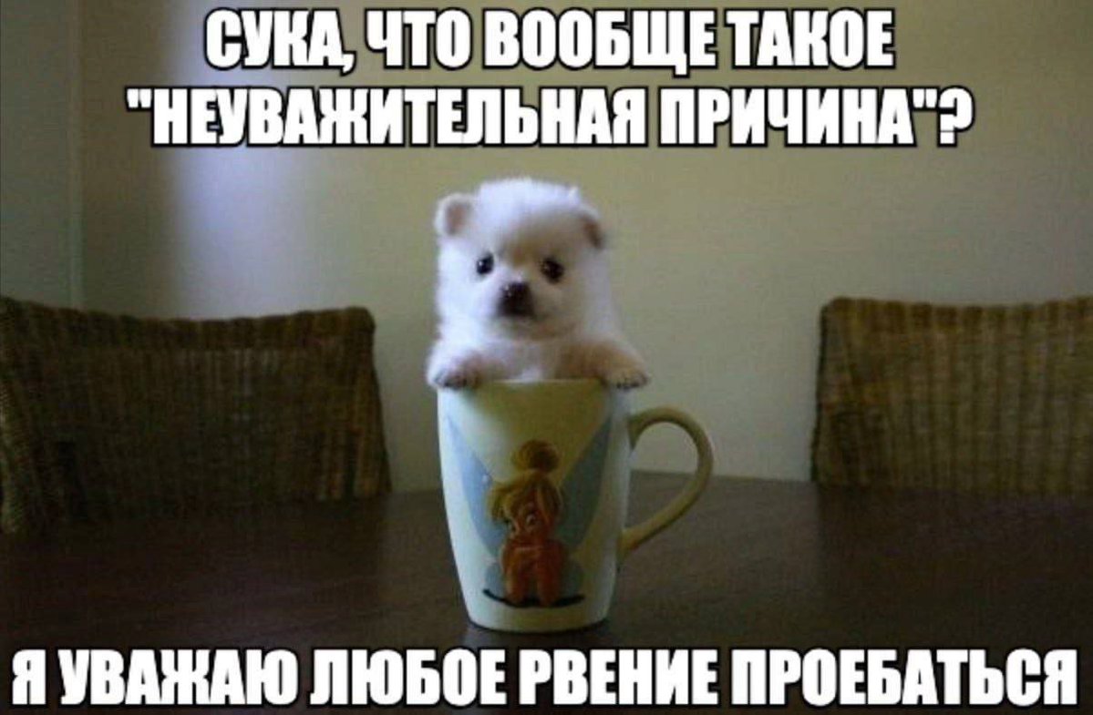 Имморальный средний класс tweet media
