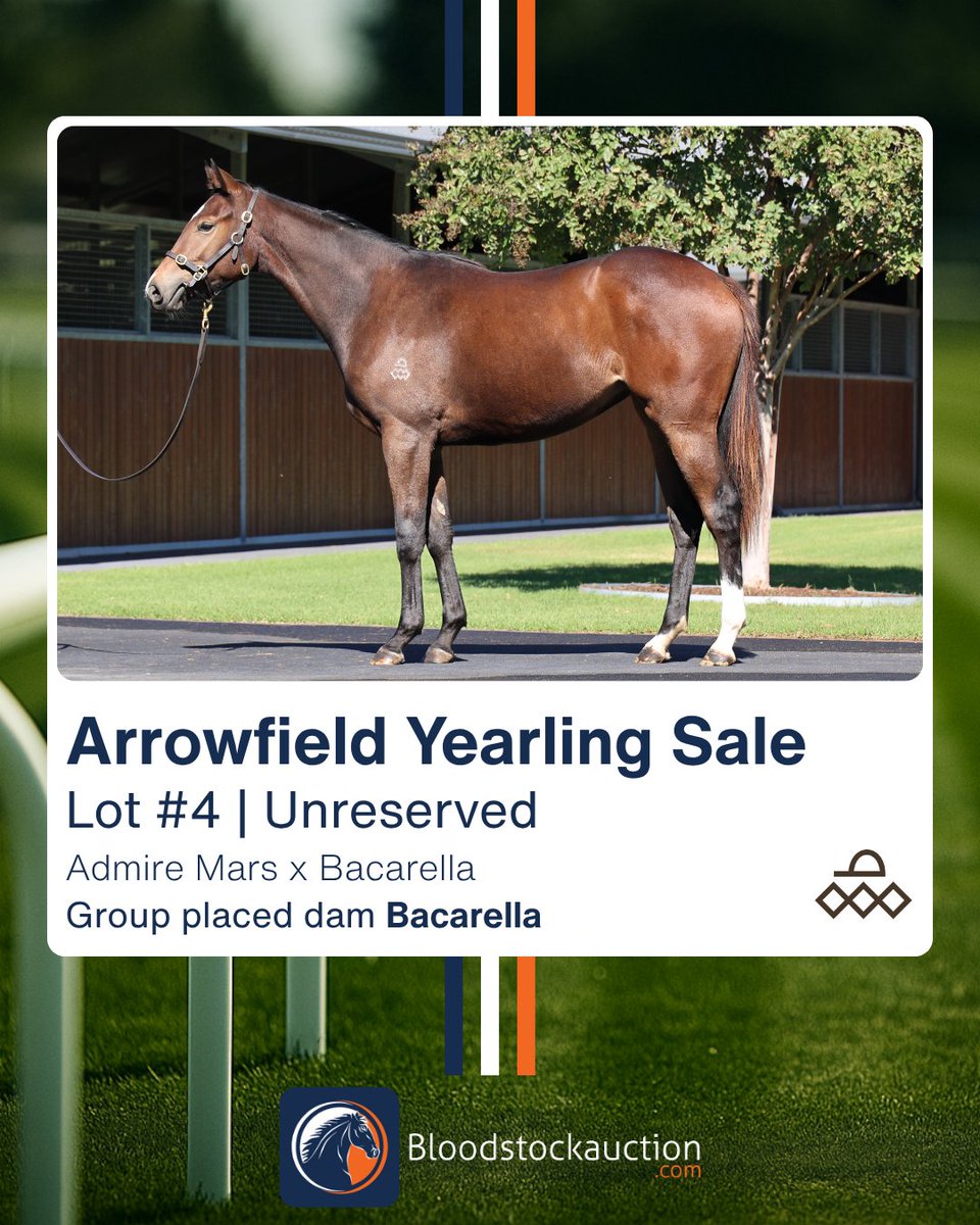 Bloodstockauction.com tweet media