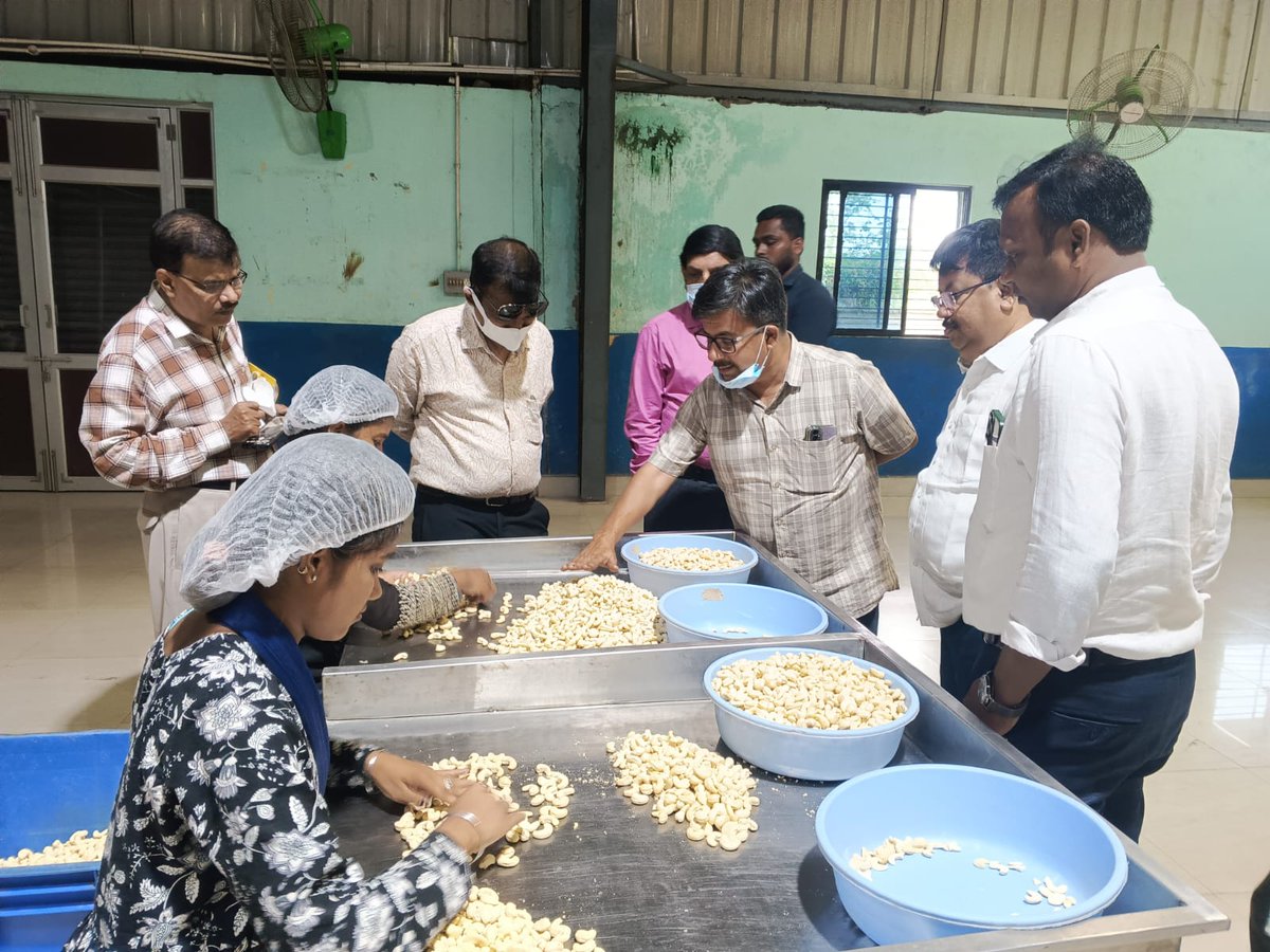 OSIC_Ltd's tweet photo. Sri S. R. Pradhan, IAS, MD, OSIC, along with Dr. S. K. Kar, Technical Expert, and Mr. S. K. Tripathy, Manager (Marketing), OSIC, visited  the Shree Jagannath Cashew Cluster, CFC, Rambha.

#OSIC #ClusterDevelopment #CashewCluster #ShreeJagannathCluster #Rambha #MSME

@CMO_Odisha https://t.co/ShrUAYl0WD