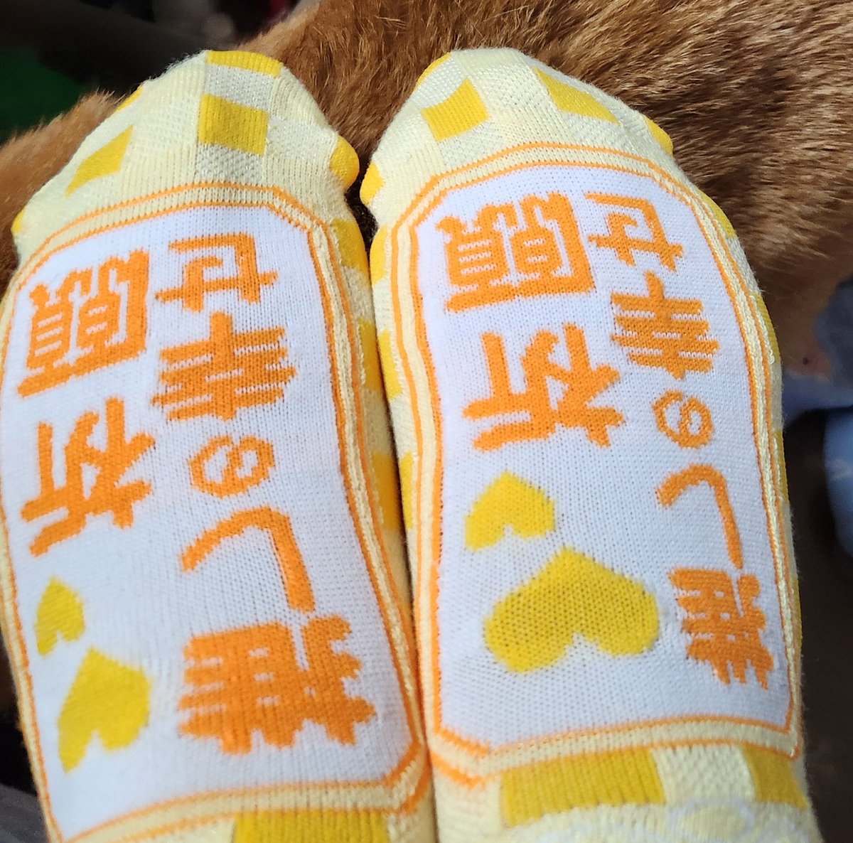 おはぎ(きな粉inつぶあん) tweet media