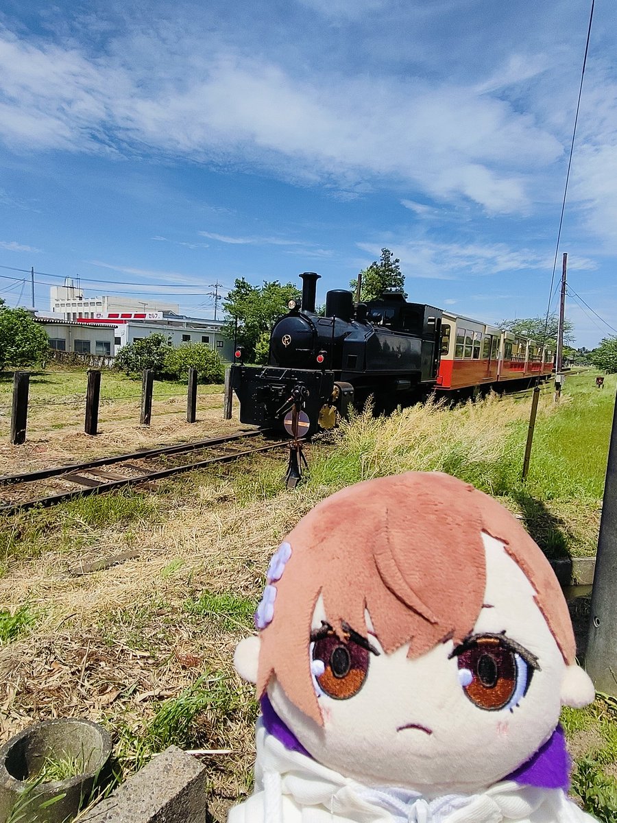 皐月海 tweet media