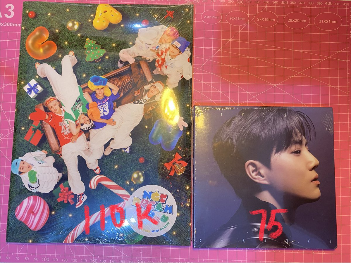 haepichanie ‾◡◝ JASTIP KPOPMERCH/PO both side jnjm tweet media