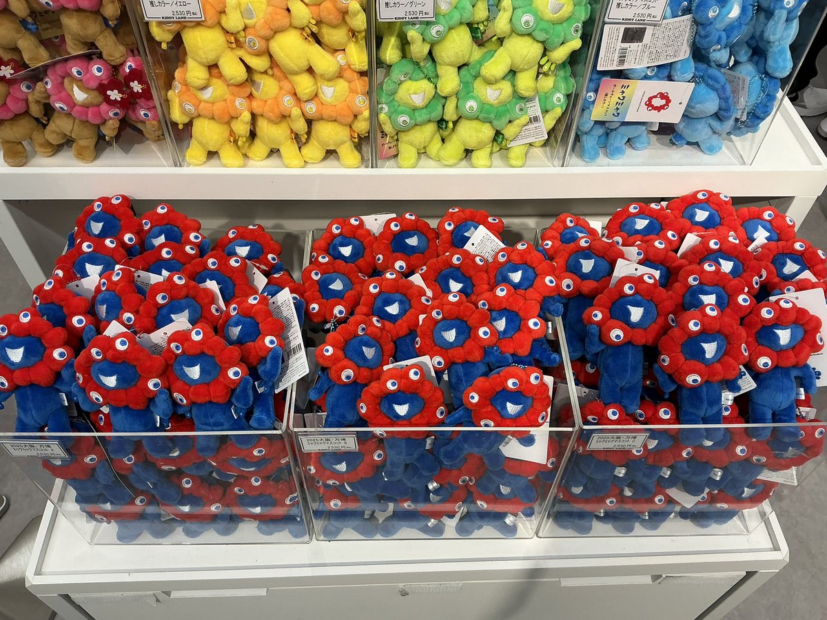 キデイランド新宿店 tweet media