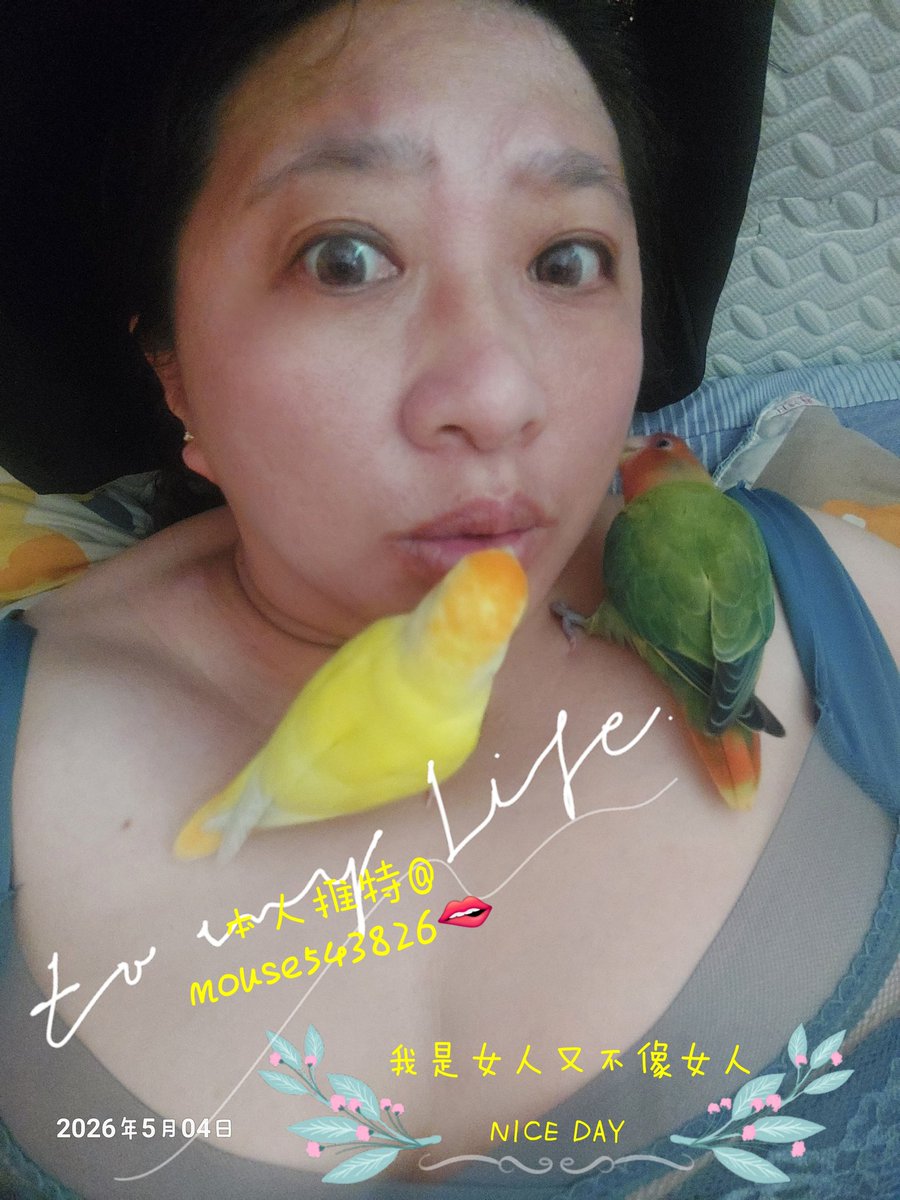 mouse(老鼠)😜🤪 tweet media