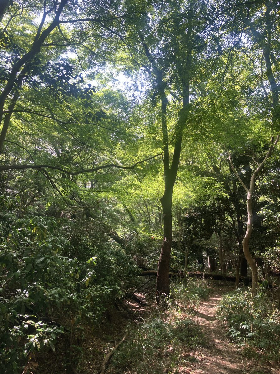 久々の山、楽しい