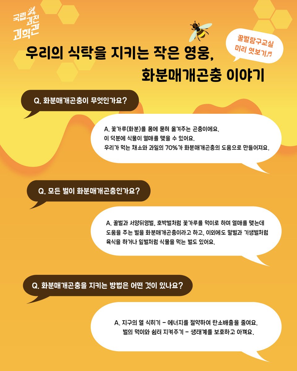 scientorium's tweet photo. 5월 20일 세계 벌의 날을 맞아 국립과천과학관에서 특별한 
<꿀벌탐구교실>을 운영합니다! 🐝🍯  기후변화로 위협받는 소중한 '화분매개곤충'에 대해 알아보고, 전시 관람 후 퀴즈를 풀면 특별한 기념품(일 300개 한정)을 드려요!🎁  
🗓️ 기간: 5.20(수) ~ 5.25(월)
📍 장소: 곤충생태관 내 꿀벌 Zone https://t.co/x9UQ8IHS0z