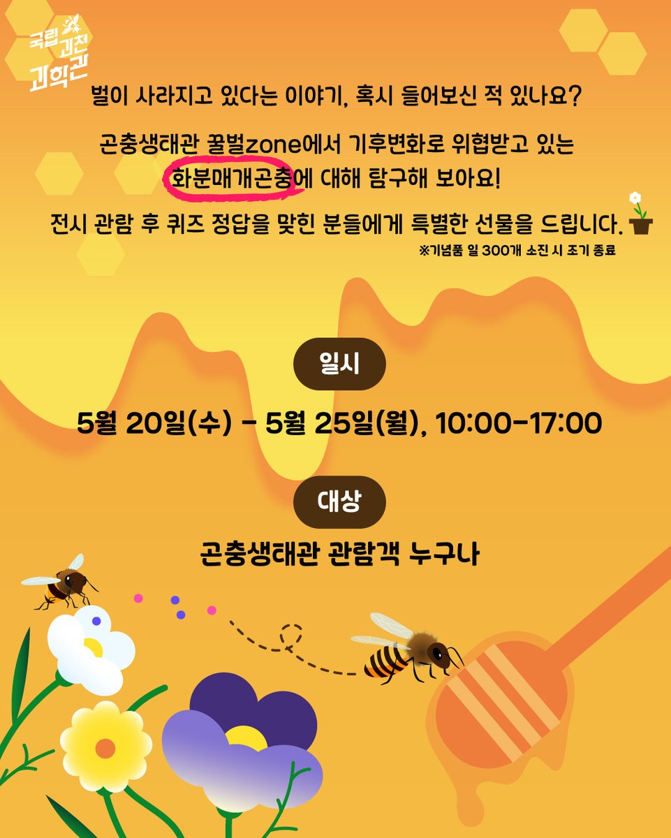 scientorium's tweet photo. 5월 20일 세계 벌의 날을 맞아 국립과천과학관에서 특별한 
<꿀벌탐구교실>을 운영합니다! 🐝🍯  기후변화로 위협받는 소중한 '화분매개곤충'에 대해 알아보고, 전시 관람 후 퀴즈를 풀면 특별한 기념품(일 300개 한정)을 드려요!🎁  
🗓️ 기간: 5.20(수) ~ 5.25(월)
📍 장소: 곤충생태관 내 꿀벌 Zone https://t.co/x9UQ8IHS0z