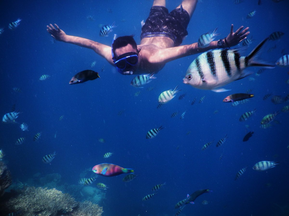 Meirzaassidhiqi's tweet image. Not all adventures happen on land 🌊 Indonesia’s underwater world is on another level 🐟✨ #AdventureTravel #Indonesia #Snorkeling #DiveIndonesia #ExploreAsia