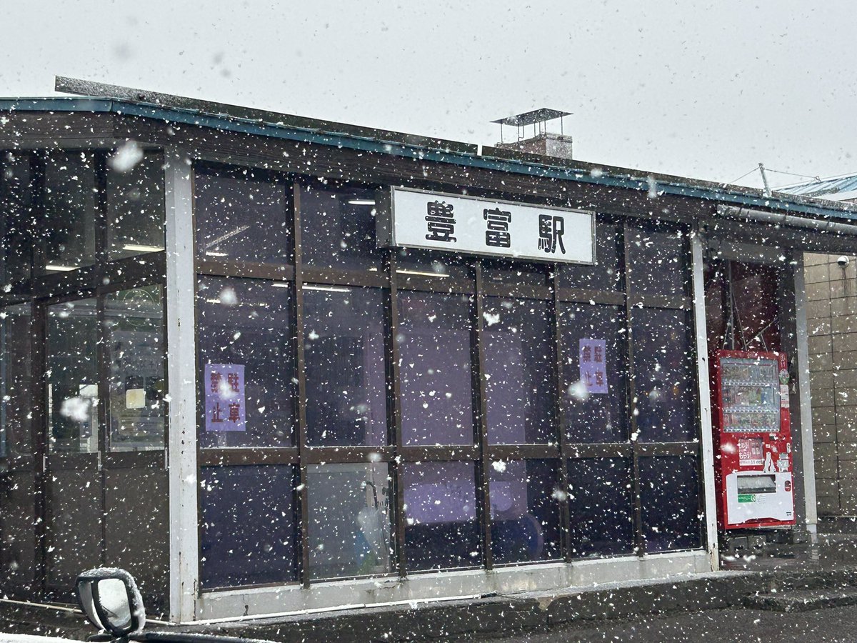 telbow（てるぼー） tweet media