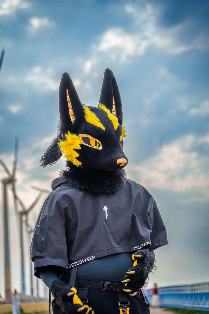 阿努比斯Anubis 🐺 furrydance ~♪ tweet media