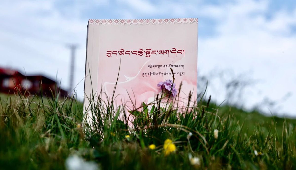 garwangnyima's tweet photo. 《བུད་མེད་བརྩེ་སྐྱོང་ལག་དེབ།》ལྟ་སྐུལ།-མཁན་ཆེན་ཚུལ་ཁྲིམས་བློ་གྲོས།

https://t.co/JeNw4qeaRg

ཡིད་བཞིན་མཛོད་སྤྱི་སྟེགས། བླ་རུང་ཆོས་སྦྱིན་དོ་དམ་ཁང་།🌷 https://t.co/OBDc6fJHoi