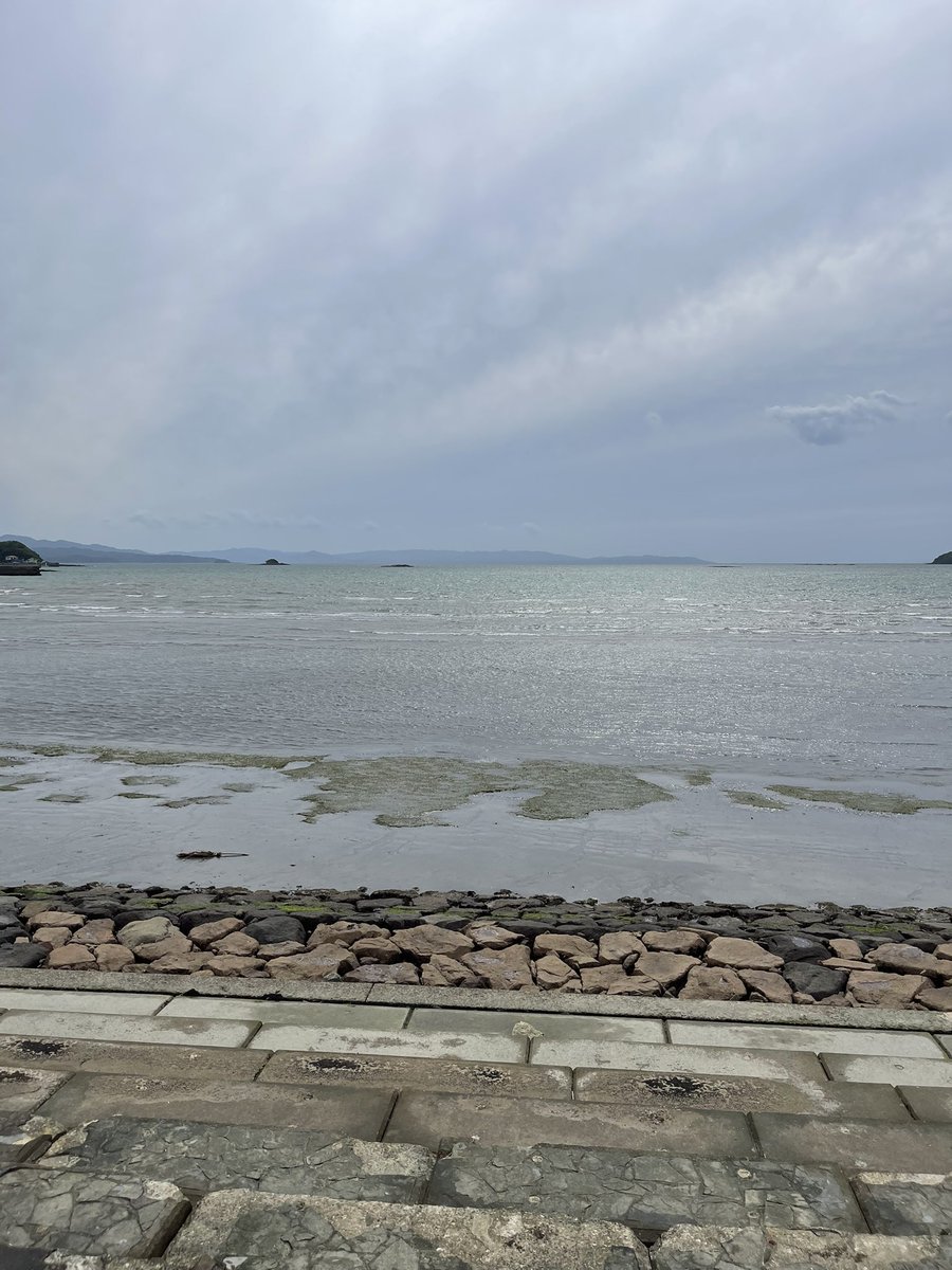 しょる tweet media