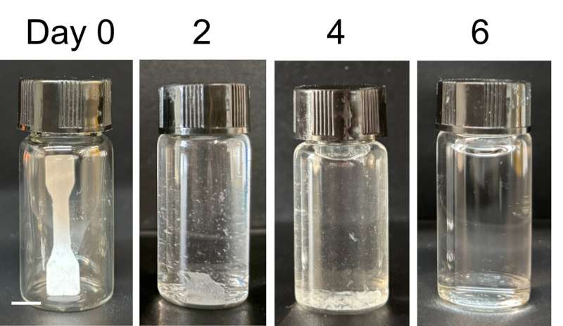 Chemystery_girl's tweet photo. Researchers built a polymer with B. subtilis spores + 2 cooperative enzymes 🧬 On activation (50°C, nutrients), it depolymerizes to monomers in 6 days—no microplastics. Programmable lifecycles for plastics. #PolymerScience https://t.co/k6Pi2fQSgN