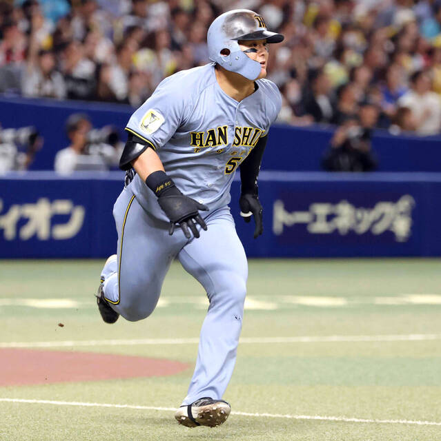 ドラペイ tweet media