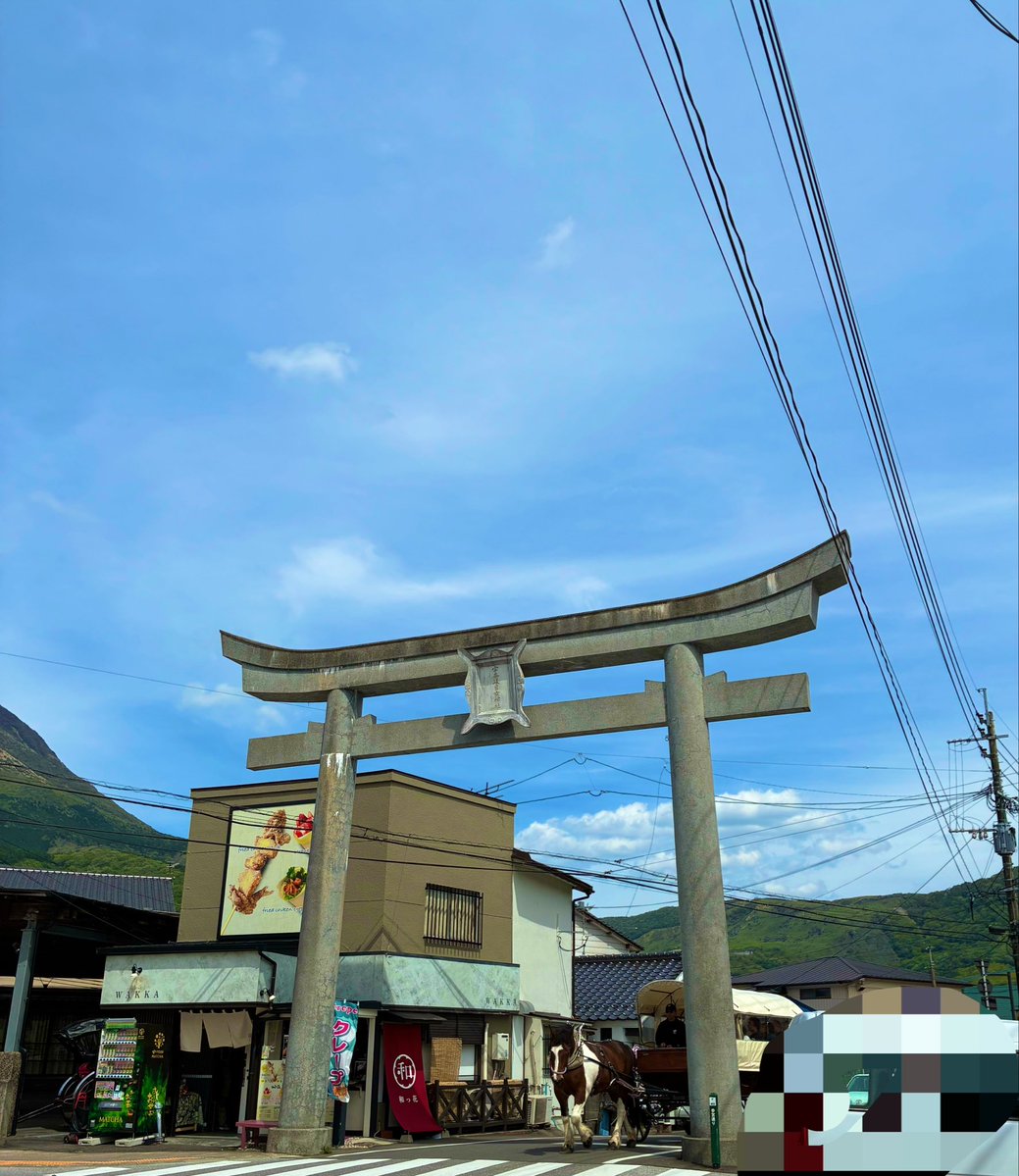 ｶﾜｸﾎﾞ tweet media