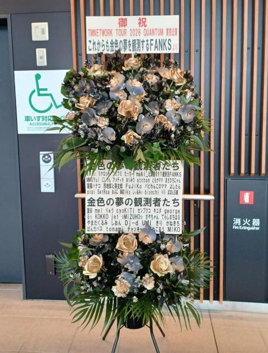 ぽぽんS嬢 tweet media