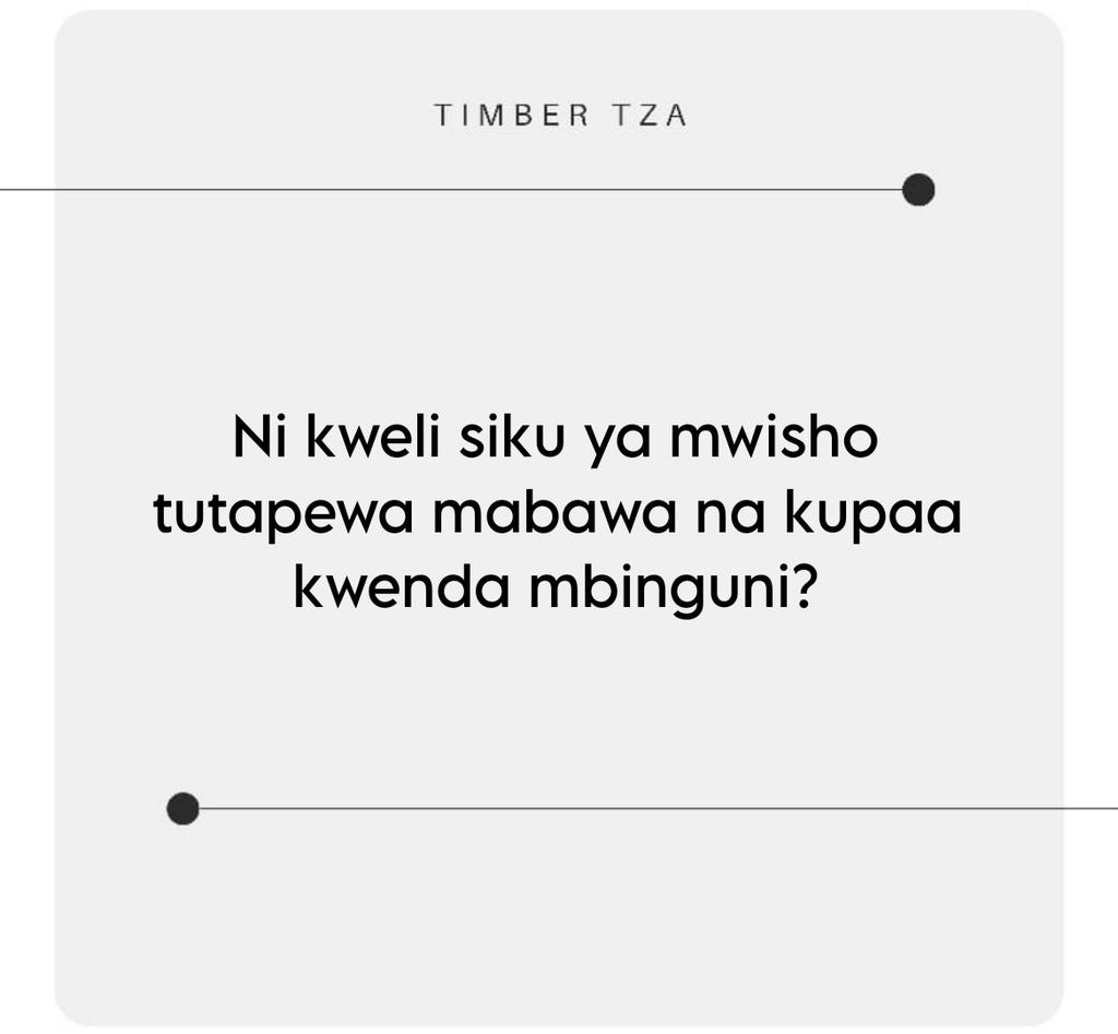 Timber TZA tweet media
