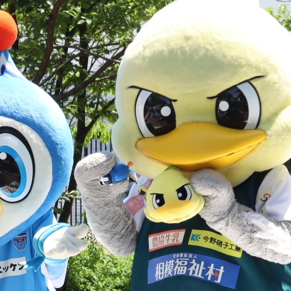 randonneesan's tweet image. ガミティさん、試合じゃない日もフリちゃんグッズを持っててくれてありがとうね🥹
#フリ丸  #yokohamafc 
#ガミティ #SC相模原