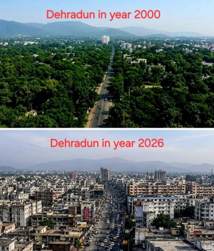memes ki duniya tweet media