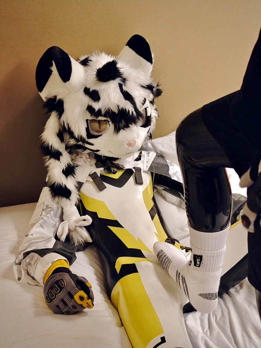 沃爾尼🔜Hi Furry tweet media