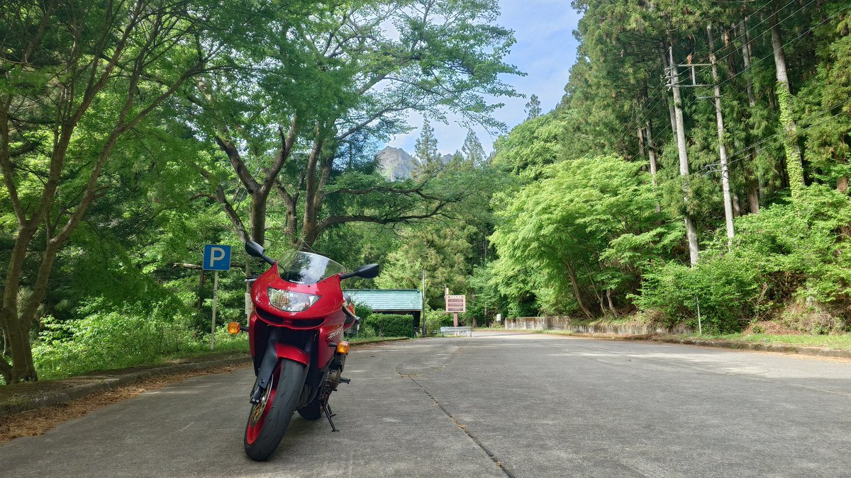 Rocket40320's tweet photo. 道に落ち葉と枝とが多い！
#妙義山 https://t.co/0twgQTejXr