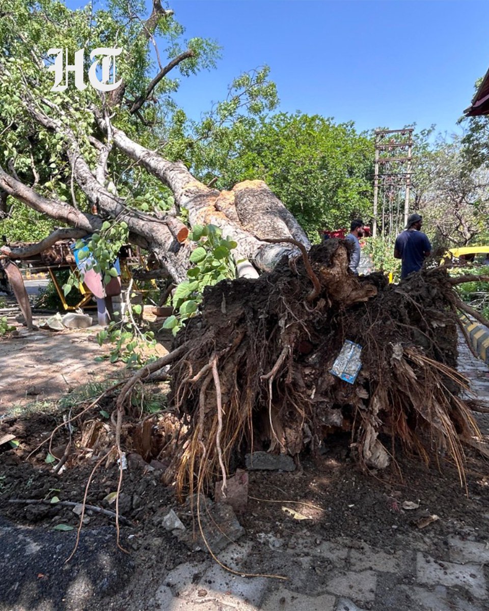 htTweets's tweet photo. #InPhotos | A massive tree was uprooted amid heavy rain and strong winds near Millennium City Centre Metro Station in Gurugram’s Sector 29, causing disruption in the area.

Stay updated with all the stories that matter — download the Hindustan Times App

(📸: @parveenkumar_ht)