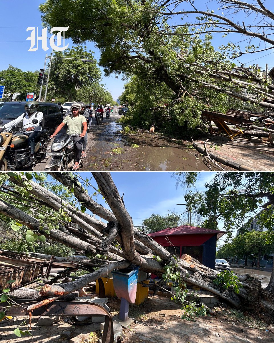 htTweets's tweet photo. #InPhotos | A massive tree was uprooted amid heavy rain and strong winds near Millennium City Centre Metro Station in Gurugram’s Sector 29, causing disruption in the area.

Stay updated with all the stories that matter — download the Hindustan Times App

(📸: @parveenkumar_ht)