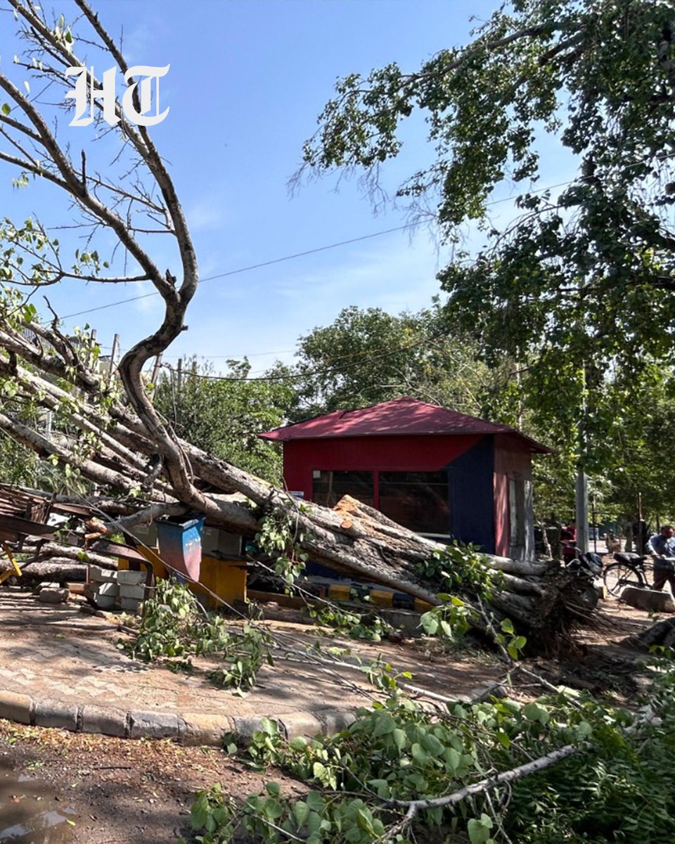 htTweets's tweet photo. #InPhotos | A massive tree was uprooted amid heavy rain and strong winds near Millennium City Centre Metro Station in Gurugram’s Sector 29, causing disruption in the area.

Stay updated with all the stories that matter — download the Hindustan Times App

(📸: @parveenkumar_ht)