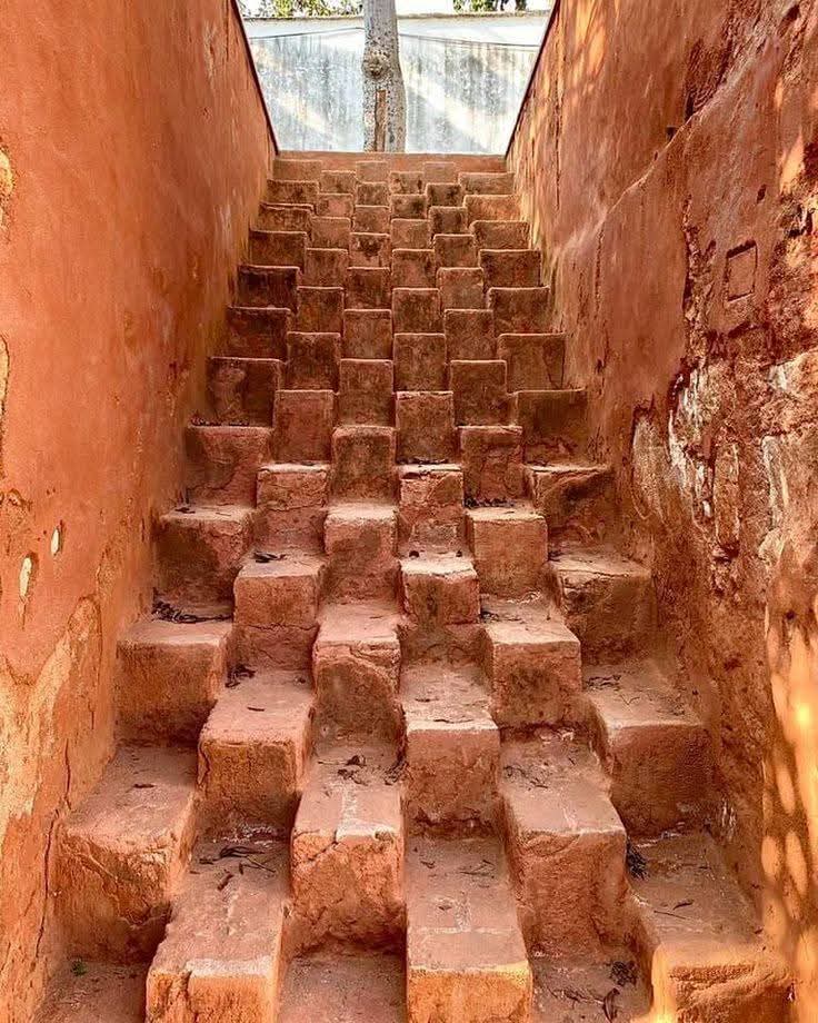 Unearthed 🏺 tweet media